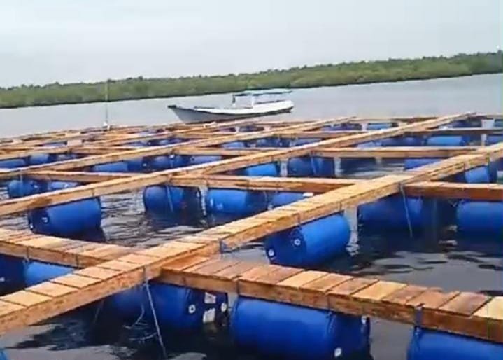 Keramba lobster Balad Grup di Teluk Pangelek, Desa Saobi, Kecamatan Kangayan, Sumenep. (Foto: Istimewa)