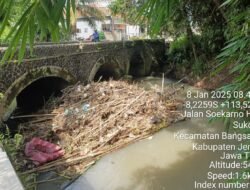 Jembatan Kuno Jadi Biang Kerok Meluapnya Air Sungai di Bangsalsari Jember