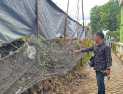 Universitas Jember Segera Bangun Ulang Tembok RS PTN yang Roboh di Patrang