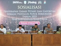 Dukung Swasembada Pangan, Situbondo Ditarget Tanam Padi di Lahan 62 Ribu Hektar