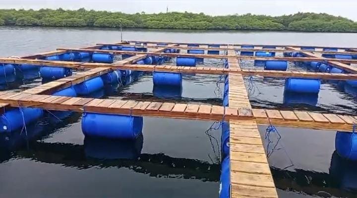 Keramba lobster Balad Grup di Gugusan Teluk Kangean Sumenep Madura. (Foto: Istimewa)
