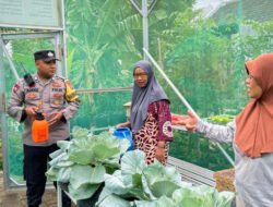 Bhabinkamtibmas Probolinggo Kota Dampingi KWT Wujudkan Ketahanan Pangan Mandiri