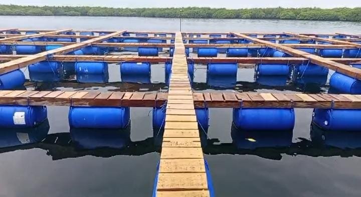 Keramba lobster Balad Grup di Sumenep Madura. (Foto: Istimewa)