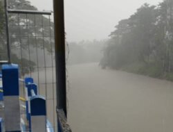 Pencarian Nenek Tima yang Hanyut di Sungai Bedadung Jember Terkendala Hujan Lebat