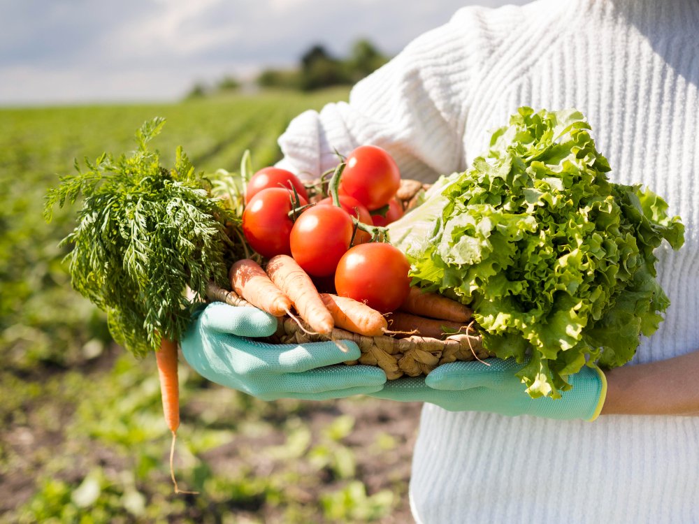 Petani menunjukkan hasil panen sayur di lahannya. (Foto: sumenepkab.go.id)