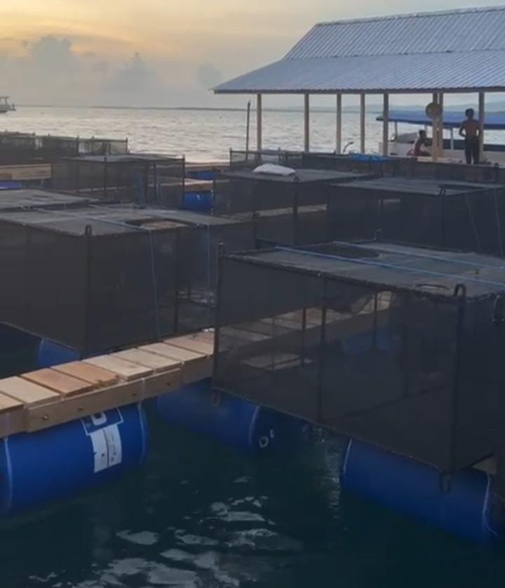 Keramba Balad Grup di Gugusan Pulau Kangean. (Foto: Istimewa)