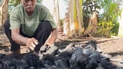 Pak Hos Nyaruki tengah menyiapkan arang pesanan di halaman rumahnya. (Foto: Zainul Hasan/ZonaIndonesia.co.id)