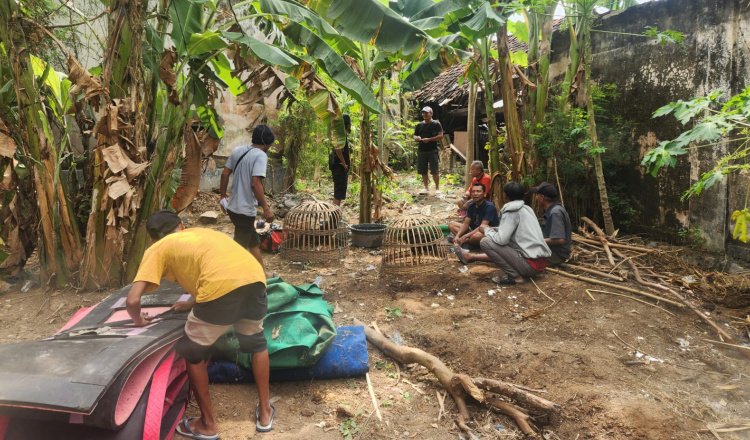 Lokasi judi sabung ayam di Desa Kotakan Situbondo digerebek polisi. (Foto: Humas Polres Situbondo)