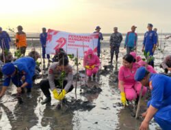 Polres Situbondo Tanam 1.000 Mangrove di Pesisir Pantai Cemara
