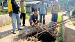 Ketua Komisi C DPRD Jember saat meninjau jembatan penghubung Desa Gumelar-Balung, Selasa (15/7/2025). (Foto: Istimewa)