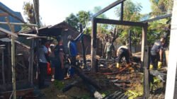 Kandang Sapi dan Unggas di Situbondo Terbakar, Kerugian Capai Rp10 Juta