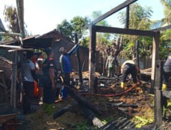 Kandang Sapi dan Unggas di Situbondo Terbakar, Kerugian Capai Rp10 Juta