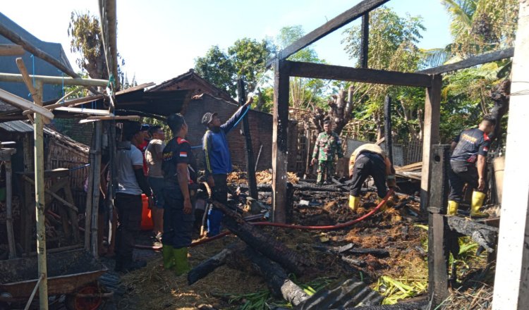 Kondisi kandang sapi yang hangus terbakar, Selasa (22/7/2025). (Foto: Humas Pusdalops-PB BPBD Situbondo)