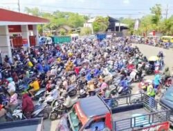 Jember Krisis BBM, Sejumlah Tengkulak Malah Jual Pertalite Hingga Rp50 Ribu per Botol