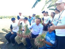 Pemkab Situbondo Komitmen Dukung Kemajuan Pertanian Hortikultura