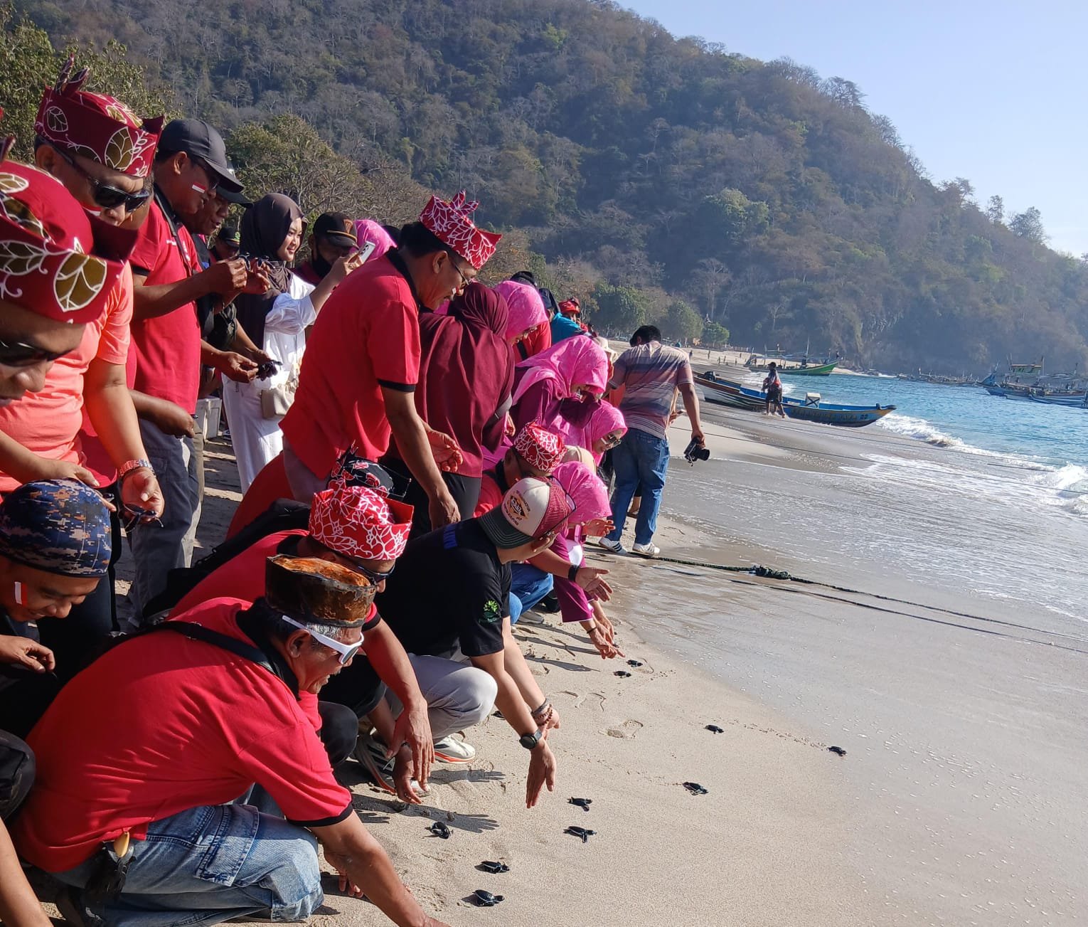 Detik-detik KPH Jember melepas tukik di Pantai Papuma, Senin (18/8/2025). (Foto: Istimewa - zonaindonesia.co.id)