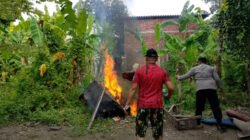 Polisi membakar peralatan sabung ayam di Desa Plumbungan, Selasa (26/8/2025). (Foto: Humas Polresta - ZONA INDONESIA)