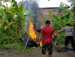 Polisi di Sidoarjo Obrak-Abrik Arena Sabung Ayam, Penjudi Lari Tunggang Langgang