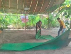 Polisi Gerebek Arena Judi Sabung Ayam di Bagor Nganjuk: Barang Bukti Diamankan!