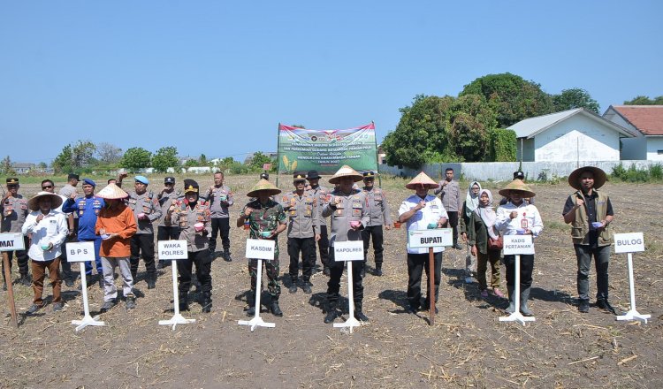 Wakil Pemimpin Perum Bulog Kancab Bondowoso, Tirto Panji Prasetyo, saat mengikuti penanaman jagung serentak di kebun benih Desa Gelung Situbondo. (Foto: Rosi - ZONA INDONESIA)