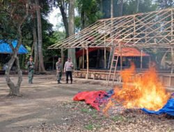 Polisi dan TNI Bakar Arena Judi Sabung Ayam di Balung Jember