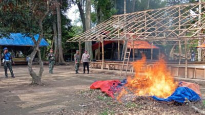 Polisi dan TNI Bakar Arena Judi Sabung Ayam di Balung Jember
