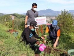 Transformasi Pertanian Menuju Green Economy: Peluang dan Tantangan bagi Petani di Kabupaten Batu