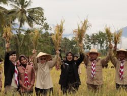 Banyuwangi Catat Surplus Padi dan Jagung 2025 Berkat Kerja Kolaboratif