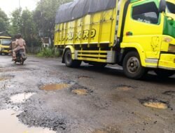 Kondisi Jalan Poros di Karang Kedawung Jember Kian Memburuk, Lubang Menganga Ancam Keselamatan Pengendara