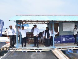 Situbondo Disiapkan Jadi Kampung Lobster Nasional, Investasi Diproyeksikan Rp2 Triliun