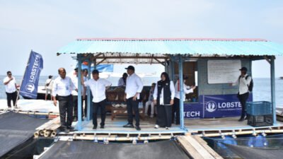 Menteri KKP, Sakti Wahyu Trenggono, saat meninjau keramba lobster di perairan Situbondo. (Foto: Istimewa - ZONA INDONESIA)