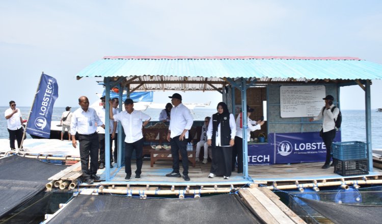 Menteri KKP, Sakti Wahyu Trenggono, saat meninjau keramba lobster di perairan Situbondo. (Foto: Istimewa - ZONA INDONESIA)