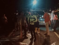 Tabrak Beruntun di Tikungan Mbah Singo Gumitir Jember, 6 Orang Luka Ringan