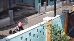 Kalung Bocah Dirampas, IRT di Mangaran Situbondo Dibekuk Kurang dari 24 Jam