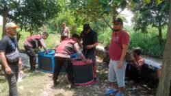 Polres Situbondo Gerebek Judi Sabung Ayam, Pelaku Lari Tunggang Langgang