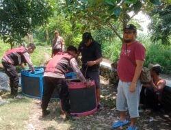 Polres Situbondo Gerebek Judi Sabung Ayam, Pelaku Lari Tunggang Langgang