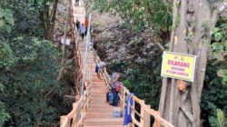 Ironi Jembatan Darurat Rp75 Juta di Sentong Bondowoso Hampir Ambrol Dalam Hitungan Hari