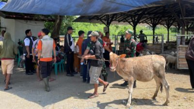 Warga menerima bantuan ternak tahap IV. (Foto: Istimewa - ZONA INDONESIA)