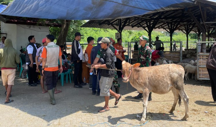 Warga menerima bantuan ternak tahap IV. (Foto: Istimewa - ZONA INDONESIA)