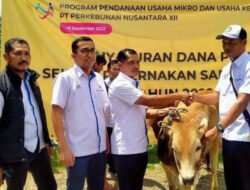 PTPN I Regional 5 Kucurkan Rp30,43 Miliar untuk Tekan Angka Kemiskinan Jember