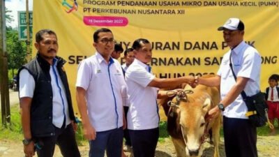 PTPN I Regional 5 menyalurkan bantuan untuk menekan kemiskinan Jember. (Foto: Dok/Istimewa)