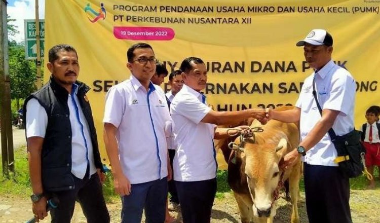 PTPN I Regional 5 menyalurkan bantuan untuk menekan kemiskinan Jember. (Foto: Dok/Istimewa)