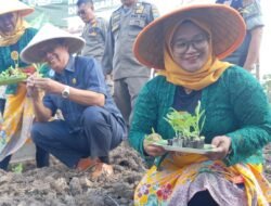 Petani Tembakau di Bondowoso Tolak Wacana Pembatasan Tar dan Nikotin