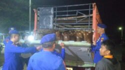 Polairud Situbondo Perketat Pengawasan Ternak Jelang Iduladha