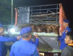 Polairud Situbondo Perketat Pengawasan Ternak Jelang Iduladha