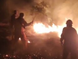 Lahan Ilalang 4 Hektare di Situbondo Kebakaran