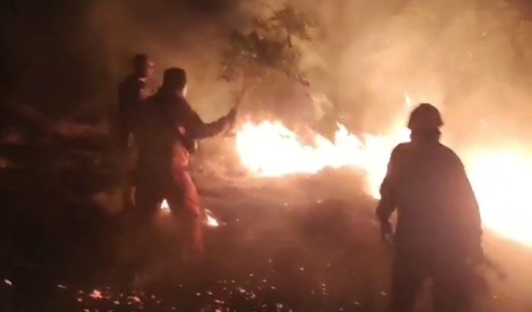 Petugas gabungan memadamkan api di perbukitan Batu Kodok, Minggu (21/6/2026) malam. (Foto: Dok/Pusdalops PB-BPBD Situbondo - ZONA INDONESIA)