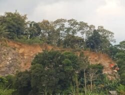 Tambang Galian C Ilegal di Pakusari Jember Cuek Soal Keselamatan Kerja