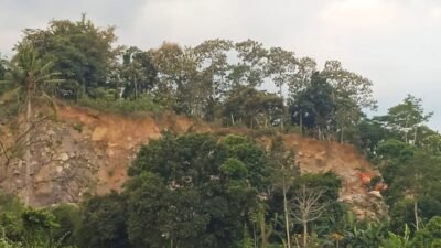 Aktivitas tambang galian C Ilegal di Kecamatan Pakusari, Minggu (21/6/2026). (Foto: Zainul Hasan - ZONA INDONESIA)