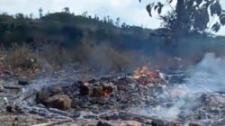 Korek Gas Meledak di Tempat Tidur, Gubuk Penyimpanan Hasil Panen di Situbondo Ludes Terbakar
